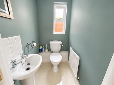 Picture 7